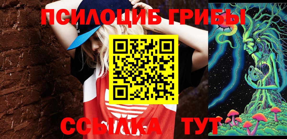 Галлюциногенные грибы прущие грибы  Псилоцибиновые грибы Cubensis  Мегион  Вход с VPN 